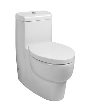 美國 KOHLER Ove 17629T 整體式自由咀座廁連緩降廁板