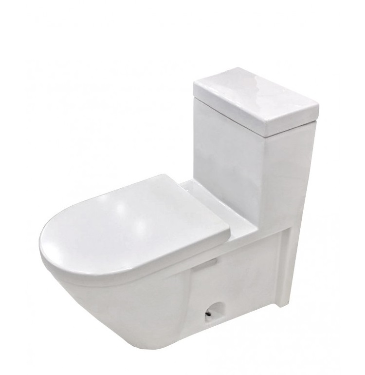 Duravit Philippe Starck 2 016301-00 整體式碰牆地去水座廁連緩降廁板 地腳螺絲一對(WR-000304)